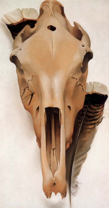 Georgia O'Keeffe Mule Skull and Turkey Feathers
